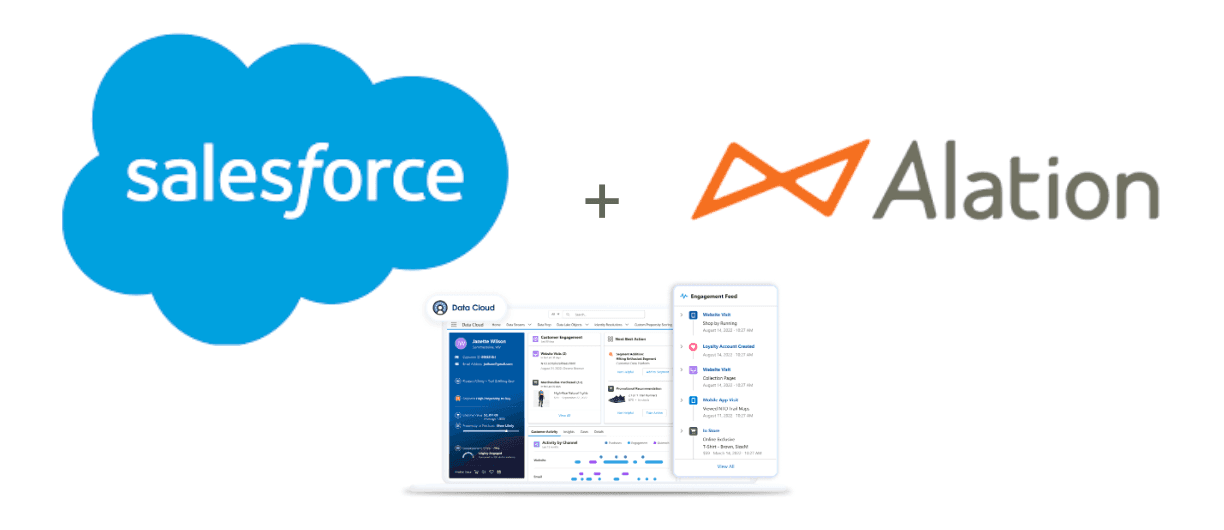 Image showing a mockup of the new Alation and Salesforce integration